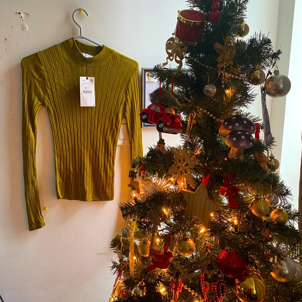 Zara sheer olive green top